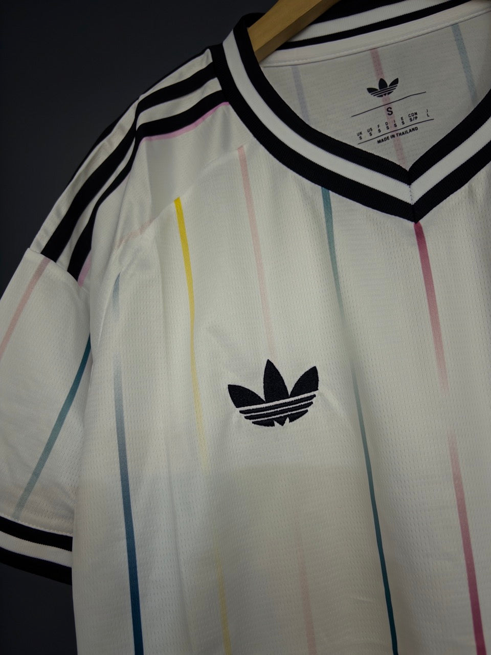 JAPON VISITANTE 2026