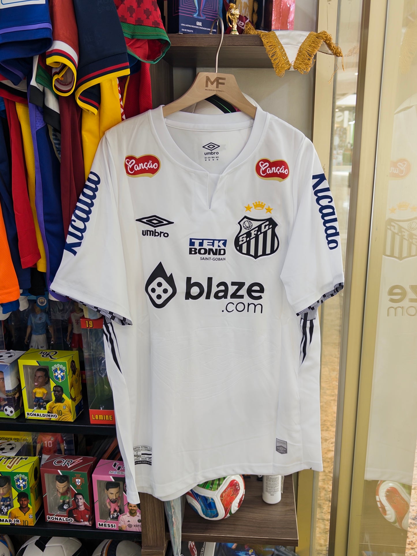 SANTOS LOCAL 2025