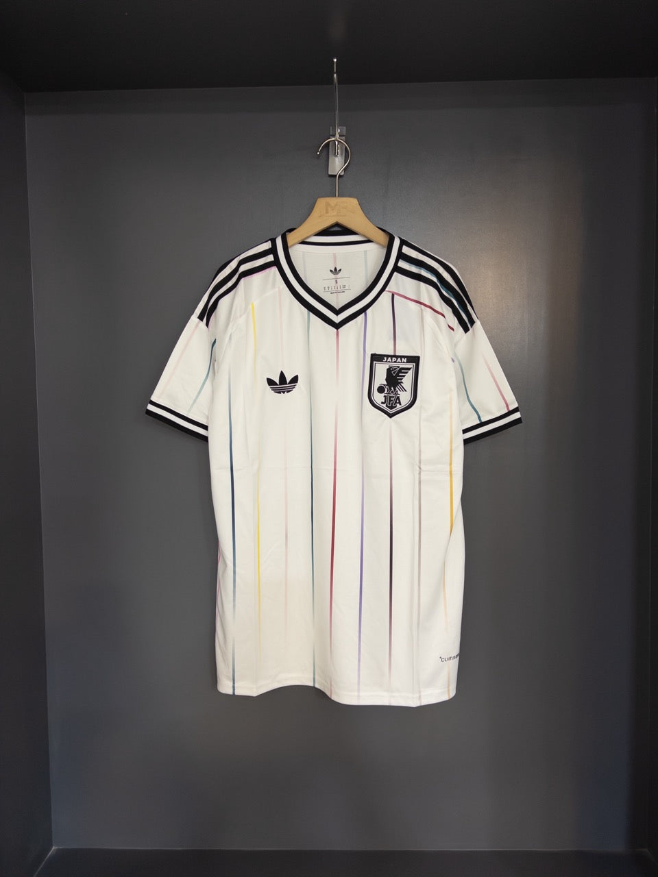 JAPON VISITANTE 2026