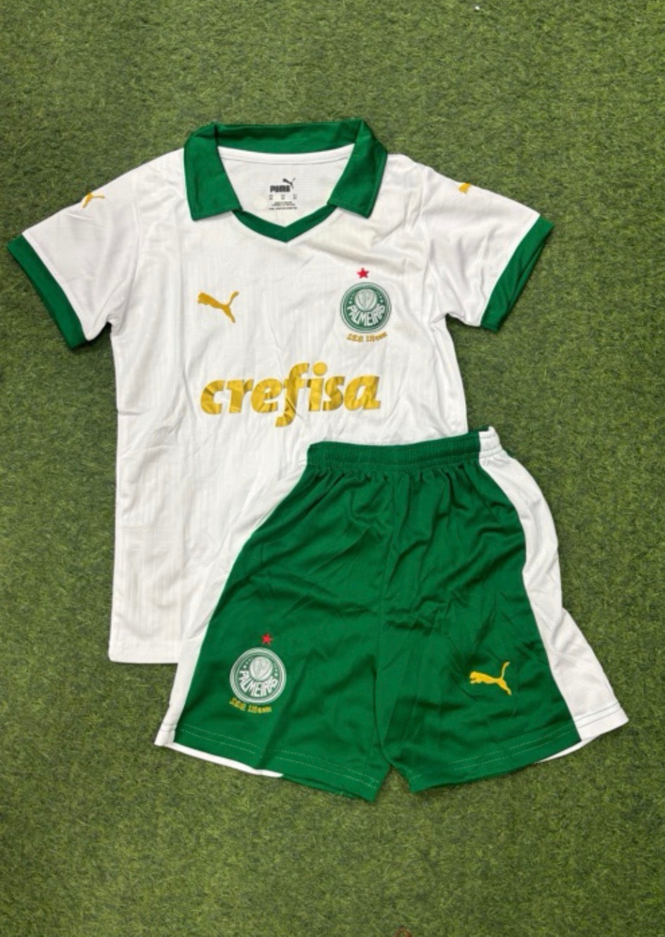 CONJUNTO PALMEIRAS VISITANTE